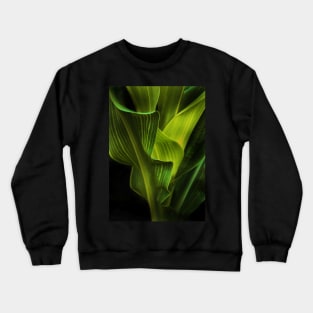 corn stalk Crewneck Sweatshirt